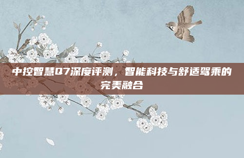 中控智慧Q7深度评测，智能科技与舒适驾乘的完美融合