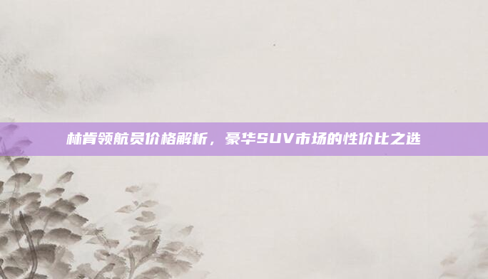 林肯领航员价格解析，豪华SUV市场的性价比之选