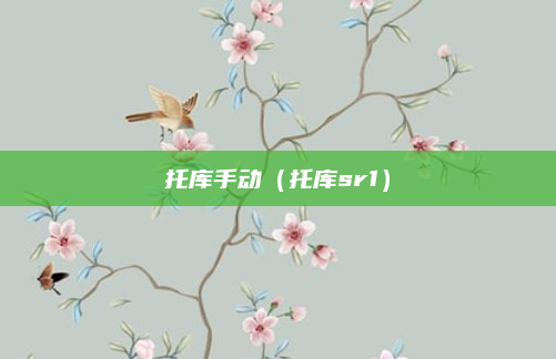 托库手动(托库sr1)
