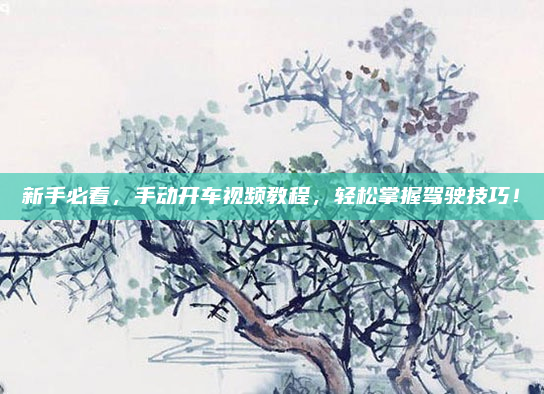 新手必看,手动开车视频教程,轻松掌握驾驶技巧!
