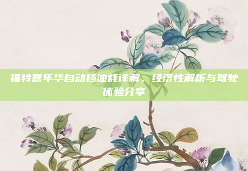 福特嘉年华自动挡油耗详解，经济性解析与驾驶体验分享