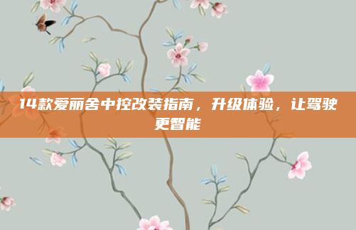 14款爱丽舍中控改装指南,升级体验,让驾驶更智能