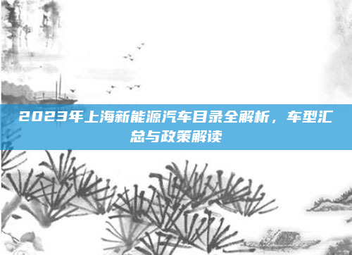 2023年上海新能源汽车目录全解析，车型汇总与政策解读