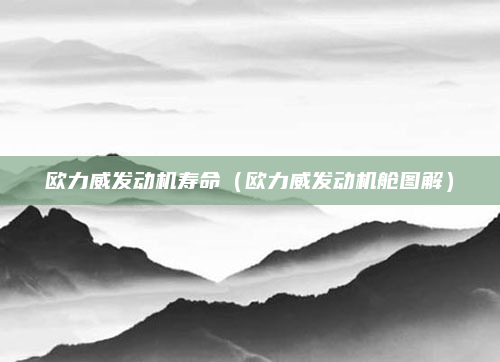 欧力威发动机寿命(欧力威发动机舱图解)