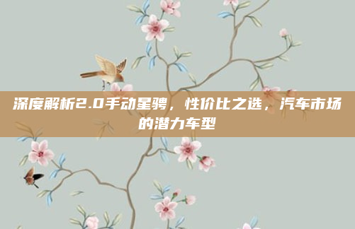 深度解析2.0手动星骋，性价比之选，汽车市场的潜力车型