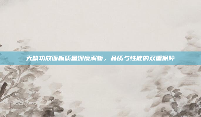 天籁功放面板质量深度解析，品质与性能的双重保障