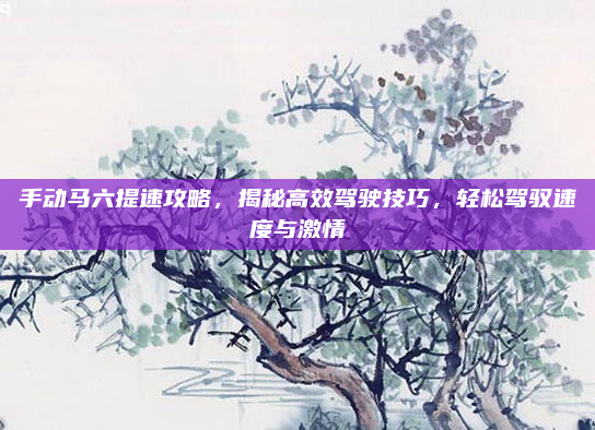 手动马六提速攻略，揭秘高效驾驶技巧，轻松驾驭速度与激情