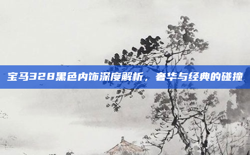 宝马328黑色内饰深度解析,奢华与经典的碰撞