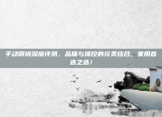 手动明锐深度评测，品质与操控的完美结合，家用首选之选！