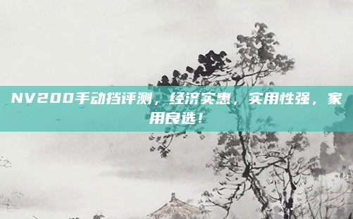 NV200手动挡评测，经济实惠，实用性强，家用良选！