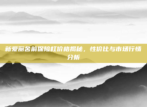 新爱丽舍前保险杠价格揭秘,性价比与市场行情分析