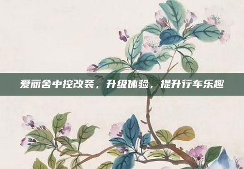 爱丽舍中控改装，升级体验，提升行车乐趣