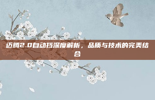 迈腾2.0自动挡深度解析，品质与技术的完美结合