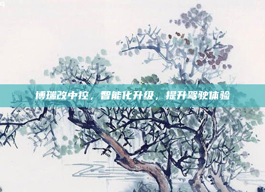 博瑞改中控,智能化升级,提升驾驶体验