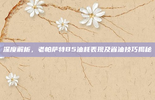 深度解析，老帕萨特B5油耗表现及省油技巧揭秘