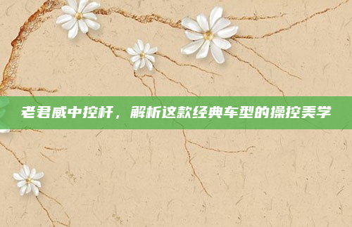 老君威中控杆，解析这款经典车型的操控美学