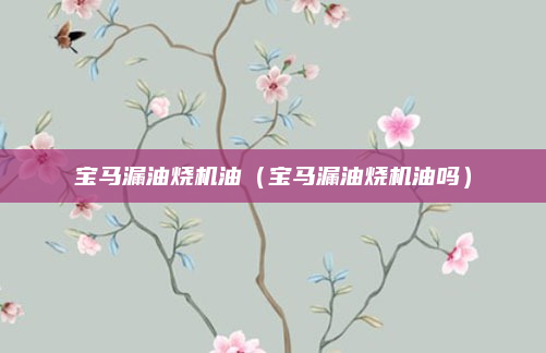 宝马漏油烧机油(宝马漏油烧机油吗)