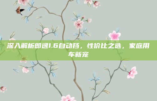 深入解析郎逸1.6自动挡,性价比之选,家庭用车新宠