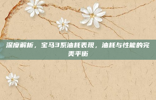 深度解析，宝马3系油耗表现，油耗与性能的完美平衡
