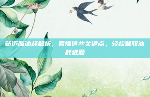 新迈腾油耗解析，看懂这些关键点，轻松驾驭油耗难题