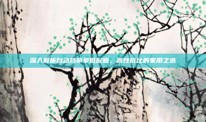 深入解析自动挡帝豪低配版，高性价比的家用之选