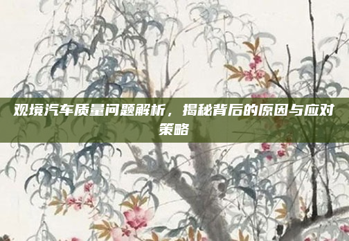 观境汽车质量问题解析，揭秘背后的原因与应对策略