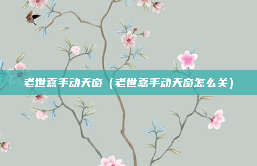 老世嘉手动天窗(老世嘉手动天窗怎么关)