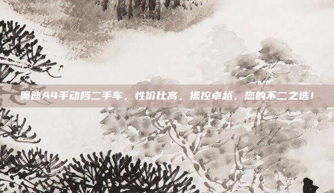 奥迪A4手动档二手车，性价比高，操控卓越，您的不二之选！
