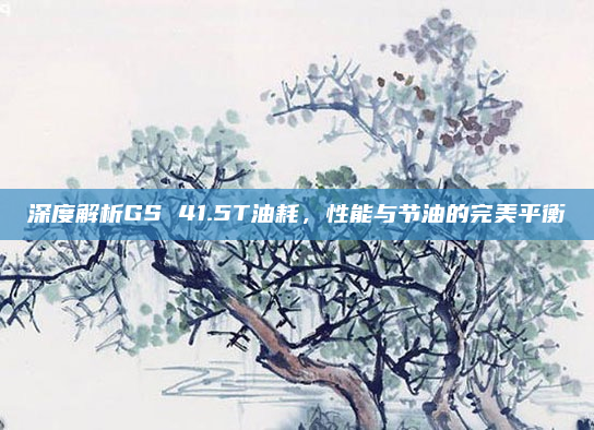 深度解析GS 41.5T油耗，性能与节油的完美平衡