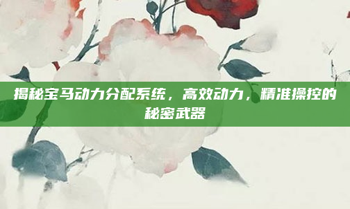 揭秘宝马动力分配系统，高效动力，精准操控的秘密武器