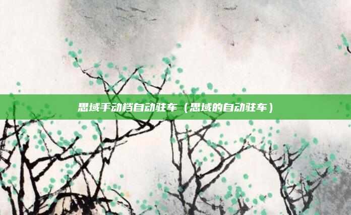 思域手动档自动驻车(思域的自动驻车)