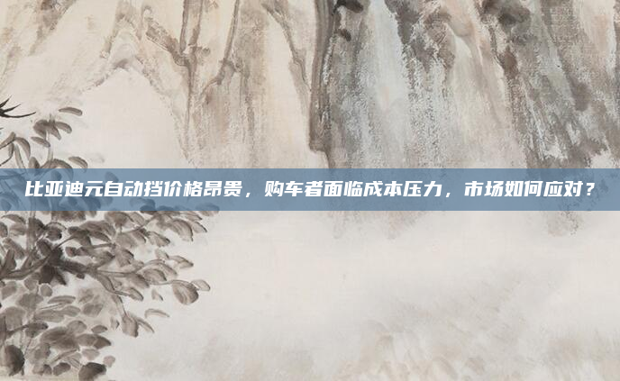 比亚迪元自动挡价格昂贵，购车者面临成本压力，市场如何应对？