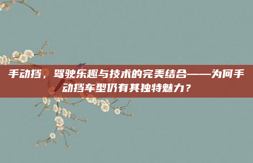 手动挡,驾驶乐趣与技术的完美结合——为何手动挡车型仍有其独特魅力?