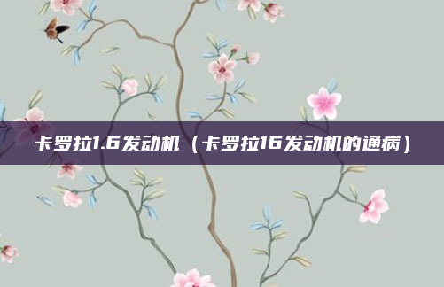 卡罗拉1.6发动机（卡罗拉16发动机的通病）