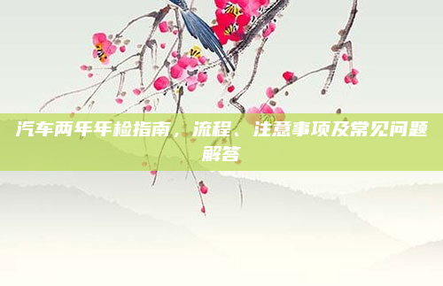 汽车两年年检指南，流程、注意事项及常见问题解答