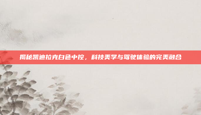 揭秘凯迪拉克白色中控,科技美学与驾驶体验的完美融合