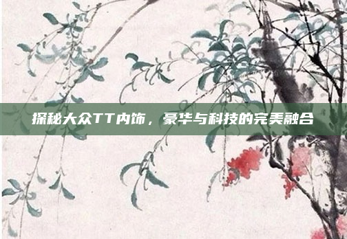 探秘大众TT内饰,豪华与科技的完美融合