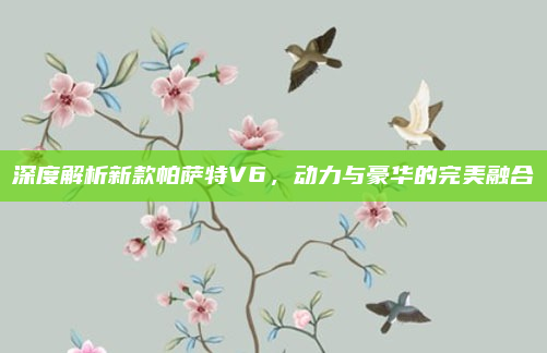 深度解析新款帕萨特V6,动力与豪华的完美融合