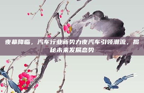 夜幕降临，汽车行业新势力夜汽车引领潮流，揭秘未来发展态势