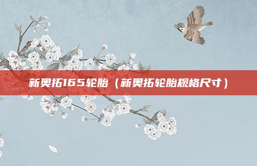 新奥拓165轮胎（新奥拓轮胎规格尺寸）