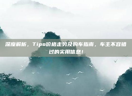 深度解析，Tipo价格走势及购车指南，车主不容错过的实用信息！