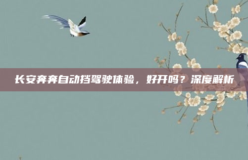 长安奔奔自动挡驾驶体验,好开吗?深度解析