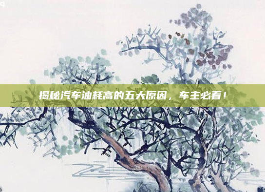 揭秘汽车油耗高的五大原因,车主必看!