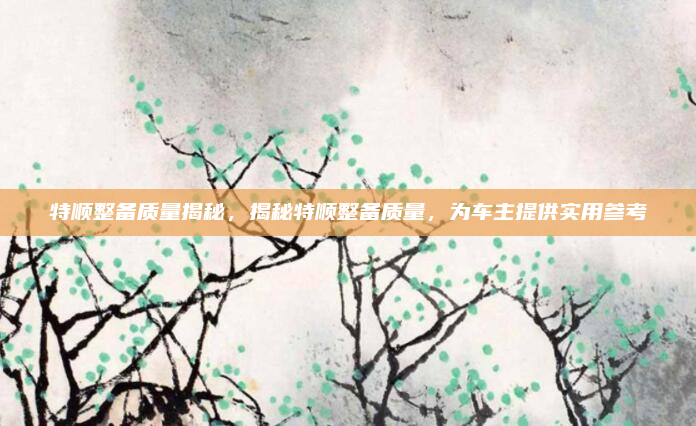 特顺整备质量揭秘，揭秘特顺整备质量，为车主提供实用参考