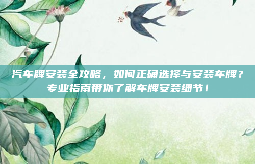 汽车牌安装全攻略,如何正确选择与安装车牌?专业指南带你了解车牌安装细节!