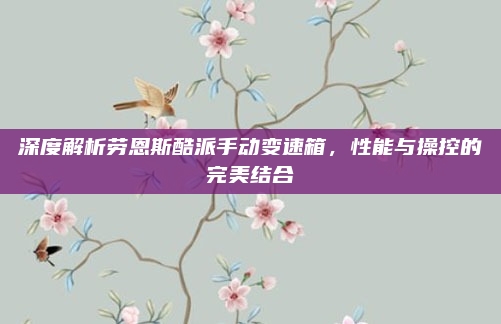 深度解析劳恩斯酷派手动变速箱，性能与操控的完美结合