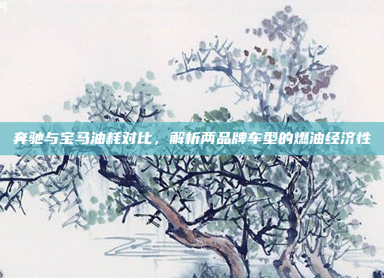 奔驰与宝马油耗对比，解析两品牌车型的燃油经济性