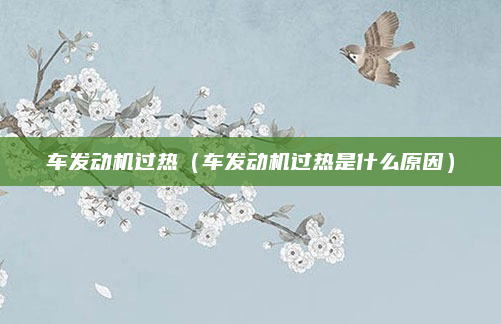 车发动机过热（车发动机过热是什么原因）