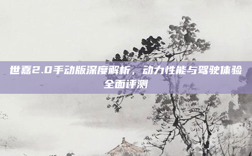 世嘉2.0手动版深度解析,动力性能与驾驶体验全面评测