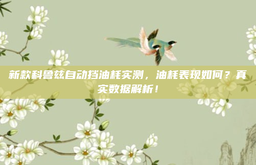 新款科鲁兹自动挡油耗实测,油耗表现如何?真实数据解析!